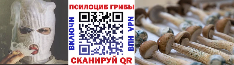 Галлюциногенные грибы прущие грибы Нестеров